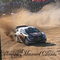 Rally de Portugal 2018  (181).JPG